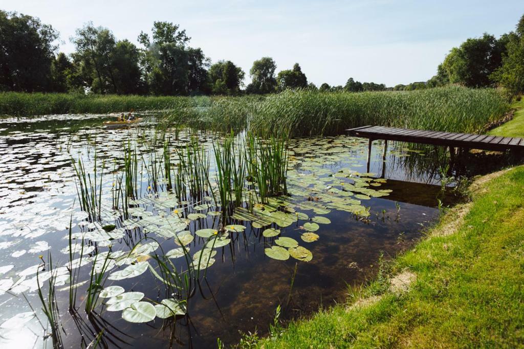 Apartamenty U Barbary Ełk Kültér fotó